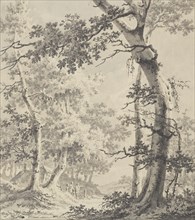 Wooded Landscape; Paulus van Liender, Dutch, 1731 - 1797, about 1780 - 1790; Pen and gray ink and wash over black chalk