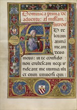 Initial A: King David; Matteo da Milano, Italian, active 1492 - 1523, Rome, Italy; about 1520; Tempera and gold on parchment