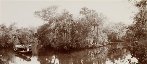 On the Tomoka near Ormond, Florida; William Henry Jackson, American, 1843 - 1942, Detroit Photographic Co. American, active