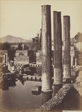 Columns; Giorgio Sommer, Italian, born Germany, 1834 - 1914, Italy; about 1857 - 1890; Albumen silver print