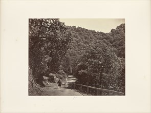 Simla; A Shady Ride round sic Jakko; Samuel Bourne, English, 1834 - 1912, Simla, India; 1868; Albumen silver print
