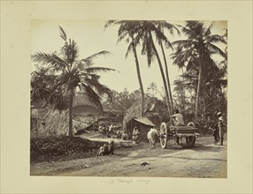 Calcutta; Rustic Scenes and Rural Life in Bengal; Samuel Bourne, English, 1834 - 1912, Calcutta, Bengal, India, Asia; 1867-1868