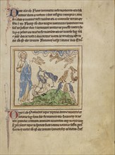 The Creation of the Birds and Fishes; England; about 1250 - 1260; Pen-and-ink drawings tinted with body color and translucent