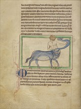 A Monocentaurus; England; about 1250 - 1260; Pen-and-ink drawings tinted with body color and translucent washes on parchment