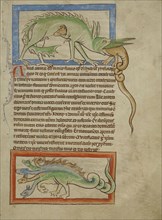 A Hydrus; A Hydra; England; about 1250–1260; Pen-and-ink drawings tinted with body color and translucent washes on parchment