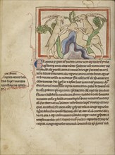 Goats; England; about 1250 - 1260; Pen-and-ink drawings tinted with body color and translucent washes on parchment; Leaf
