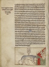 A Wolf; England; about 1250 - 1260; Pen-and-ink drawings tinted with body color and translucent washes on parchment; Leaf