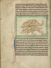 Ostriches; England; about 1250 - 1260; Pen-and-ink drawings tinted with body color and translucent washes on parchment; Leaf