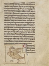 A Coot; England; about 1250 - 1260; Pen-and-ink drawings tinted with body color and translucent washes on parchment; Leaf