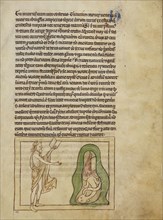 An Asp; England; about 1250 - 1260; Pen-and-ink drawings tinted with body color and translucent washes on parchment; Leaf