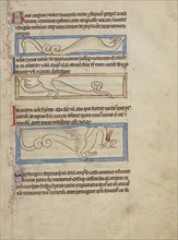 A Boa; A Jaculus; A Siren; England; about 1250 - 1260; Pen-and-ink drawings tinted with body color and translucent washes