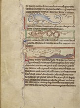 A Seps; A Lizard; A Saura; A Newt; England; about 1250 - 1260; Pen-and-ink drawings tinted with body color and translucent