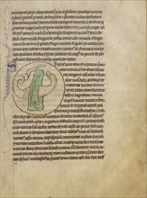 A Snake; England; about 1250 - 1260; Pen-and-ink drawings tinted with body color and translucent washes on parchment; Leaf