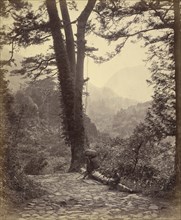 View of the Hakone Pass; Felice Beato, 1832 - 1909, Japan; 1863 - 1868; Albumen silver print