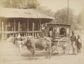 Burmese Public Carriage; Felice Beato, 1832 - 1909, Burma; 1888 - 1893; Albumen silver print
