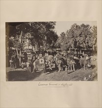 Governor General's Elephants; Attributed to John Edward Saché, Prussian or British, born Prussia, 1824 - 1882, India