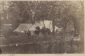 Camp Roorkee; Roorkee, India; 1869; Albumen silver print