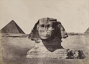 Sphinx; F. Meissner, French, active 1860s - 1870s, Giza, Egypt; about 1881; Albumen silver print