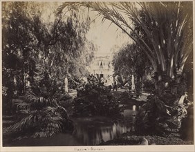 Khedive's Gardens; Egypt; about 1881; Albumen silver print