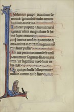 Initial I: A Man Looking at a Sparrow; Bute Master, Franco-Flemish, active about 1260 - 1290, Paris, written, France