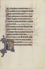 Initial N: The Presentation in the Temple; Bute Master, Franco-Flemish, active about 1260 - 1290, Northeastern illuminated