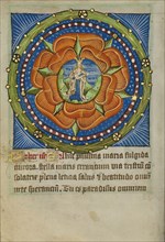 Rosary with Virgo Lactans; Norfolk perhaps, written, East Anglia, England; about 1480–1490; Tempera colors and gold leaf