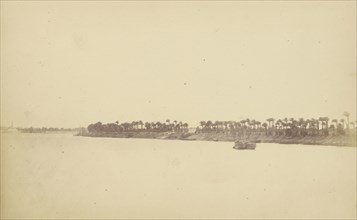 Banks of the Nile with Palm Trees and Boats; Théodule Devéria, French, 1831 - 1871, France; 1859 - 1865; Albumen silver print