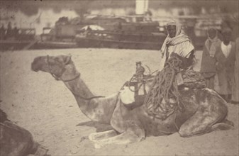 Camel with Native Men on the Bank of the Nile; Théodule Devéria, French, 1831 - 1871, France; 1865; Albumen silver print
