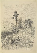 River Landscape; Josef Wenglein, German, 1845 - 1919, Germany; n.d; Charcoal; 45.1 x 31.4 cm, 17 3,4 x 12 3,8 in