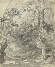 Wooded Landscape with Cows; Johann Georg von Dillis, German, 1759 - 1841, Germany; about 1793; Brown and grey ink, watercolor