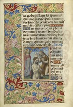 Baptism of Christ; Master of Cardinal Bourbon, French, about 1480 - 1500, Paris, France; about 1500; Tempera colors, ink