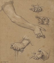 Studies of Hands; Alphonse Legros, British, born France, 1837 - 1911, France; n.d; Black and white chalk with touches of red