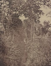 No. 120. Rangoon. Tiger Alley; Capt. Linnaeus Tripe, English, 1822 - 1902, Kolkata, India; 1855; Albumenized salted paper print