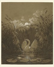 A Swan Among the Reeds, by Moonlight; Carl Gustav Carus, German, 1789 - 1869, Germany; September 18, 1852; Charcoal with white