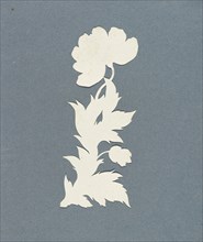Poppy; Philipp Otto Runge, German, 1777 - 1810, Germany; about 1800 - 1803; Cut-out silhouette on white paper