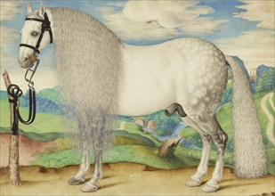 A Dappled Gray Stallion Tethered in a Landscape; Prague School, late 16th century; probably Prague, Czech Republic, ex-Holy