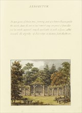 Arboretum, Humphry Repton architecture and landscape designs, 1807-1813, Report concerning the gardens at Ashridge, respectfully