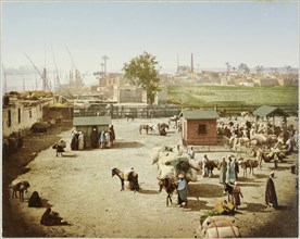 Tollyard at the bridge with livestock and agricultural products, Cairo, Egypt, octroi au pont du Nil no. 2 Basse Egypte Janvier