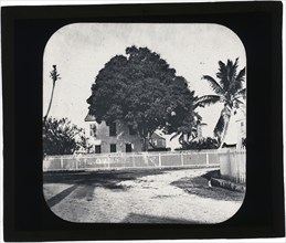 House with white picket fence and tree, Belize, ?, Augustus and Alice Dixon Le Plongeon papers, 1763-1937, bulk 1860-1910