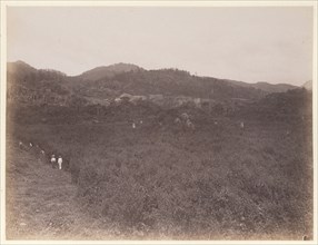 Landscape with view towards stelae and unexcavated mounds, Edmund Lincoln miscellaneous papers relating to the excavation