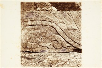 Fish relief, Platform of Venus, Chichén Itzá, Views of Maya ruins in the Yucatan, Le Plongeon, Augustus, 1826-1908, Collodion