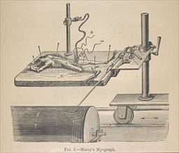 Marey's myograph, Animal mechanism: a treatise on terrestrial and aërial locomotion, Marey, Etienne-Jules, 1830-1904, Engraving