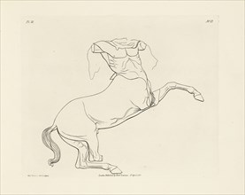 The Centaur, Elgin marbles from the Parthenon at Athens: exemplified by fifty etchings, selected from the most beautiful