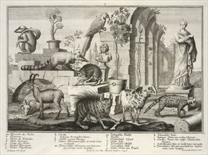 Small Herculaneum woman set in garden with exotic animals, Representation des animaux de la menagerie de S.A.S. Monseigneur