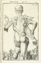 Lib. IV., Tabula XVII, Lib. IV. Adriani Spigelii Bruxellensis equitis D. Marci, olim in Patavino gymnasio anatomiae