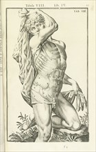 Lib. IV, Tabula VIII, Lib. IV, Adriani Spigelii Bruxellensis equitis D. Marci, olim in Patavino gymnasio anatomiae et chirurgiae