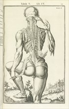 Lib. IV., Tabula V, Lib. IV. Adriani Spigelii Bruxellensis equitis D. Marci, olim in Patavino gymnasio anatomiae et chirurgiae