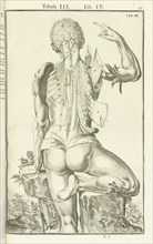 Lib. IV, Tabula III, Lib. IV, Adriani Spigelii Bruxellensis equitis D. Marci, olim in Patavino gymnasio anatomiae et chirurgiae