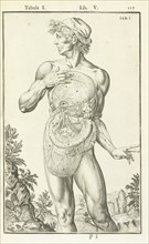 Lib. V, Tabula I, Lib. V, Adriani Spigelii Bruxellensis equitis D. Marci, olim in Patavino gymnasio anatomiae et chirurgiae