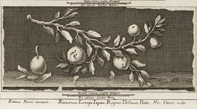 Delle antichità di Ercolano, Baiardi, Ottavio Antonio, 1694-1764, Engraving, 1757-1792, at lower center of page 73